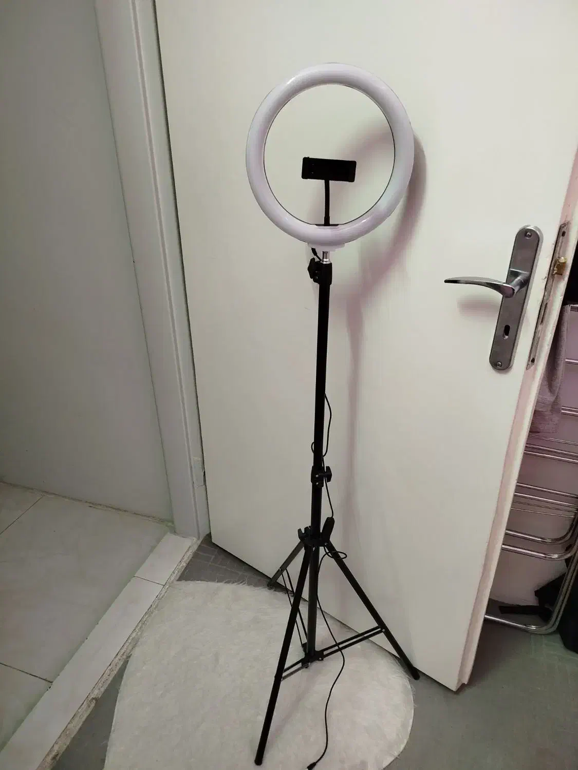 رینگ لایت فقط۱۵۰۰|دوربین عکاسی و فیلم‌برداری|مشهد, کوی دروی|دیوار