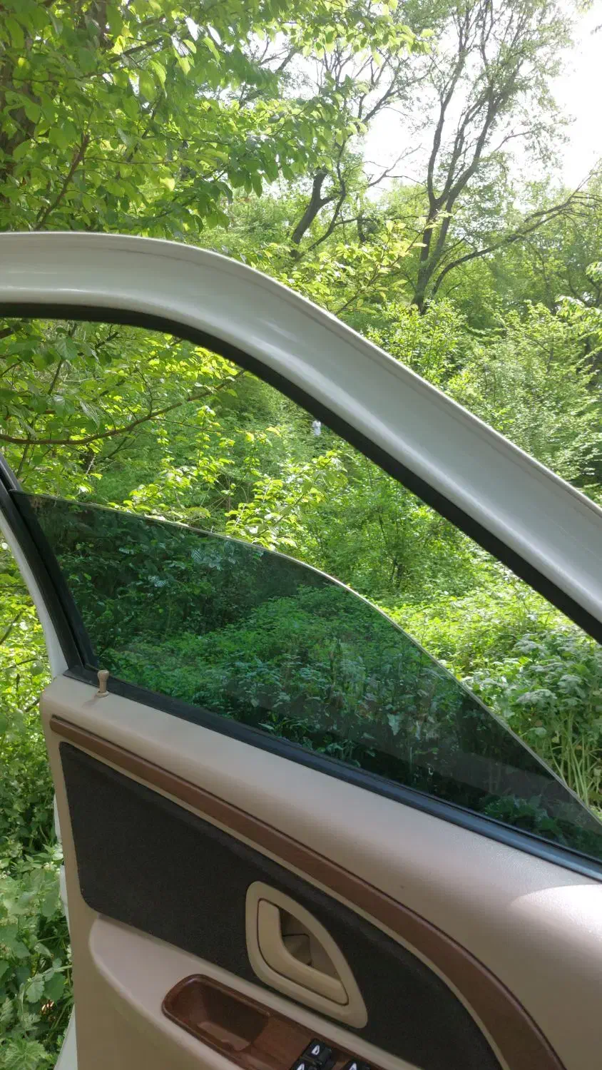 پارتنر|فعالیت داوطلبانه تحقیقاتی|اصفهان, بوستان کوهستانی صفه|دیوار