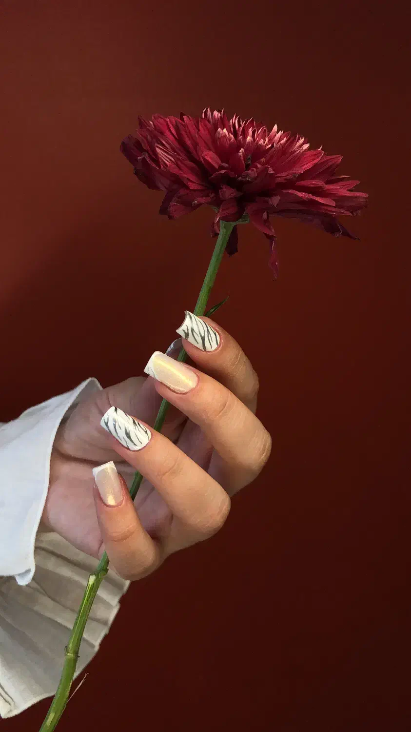 جذب هنرجو با شرایط ویژه (آموزش + همکاری)|خدمات آموزشی|کرج, مهرویلا جنوبی|دیوار