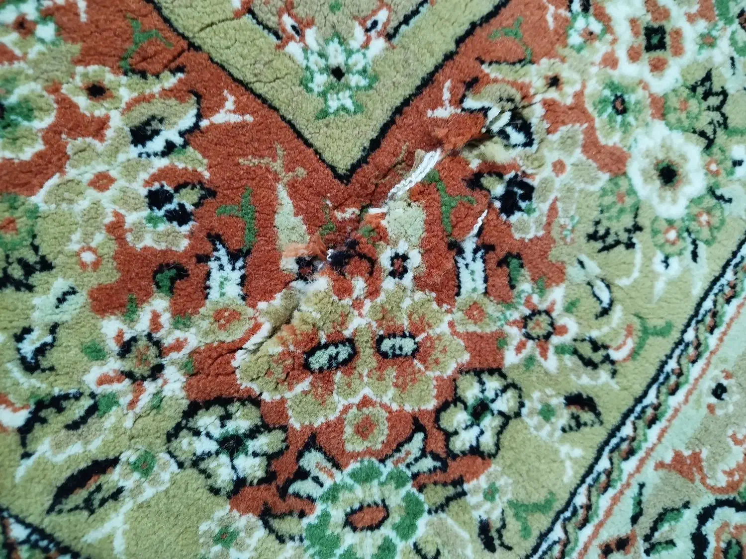 فرش شش متری|فرش|بروجرد, |دیوار