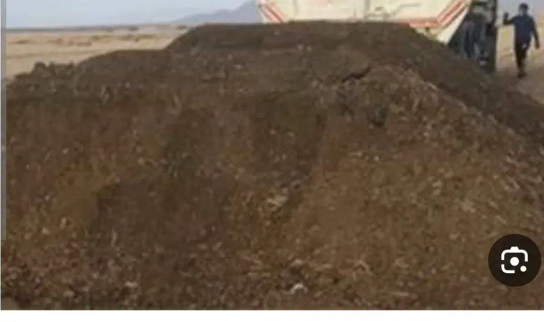 فروش کود گوسفندی در قمصر|خدمات باغبانی و درختکاری|قمصر, |دیوار