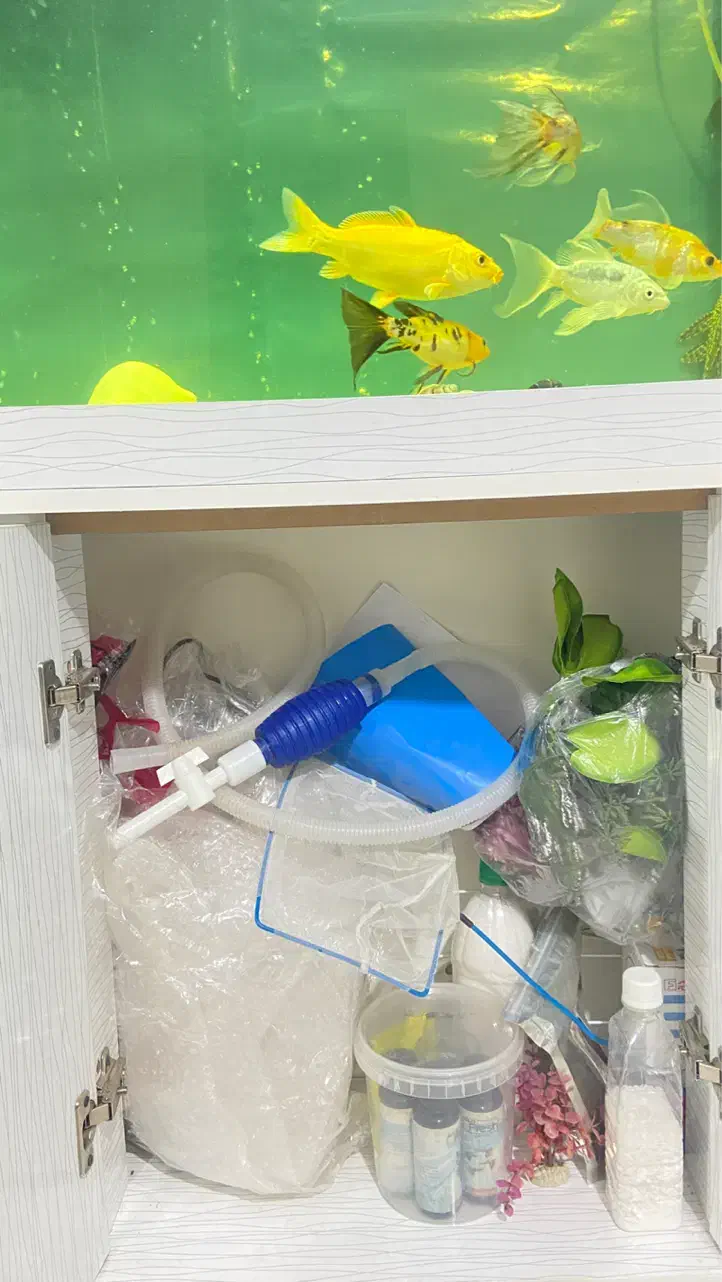 آکواریوم|ماهی|تهران, صادقیه|دیوار