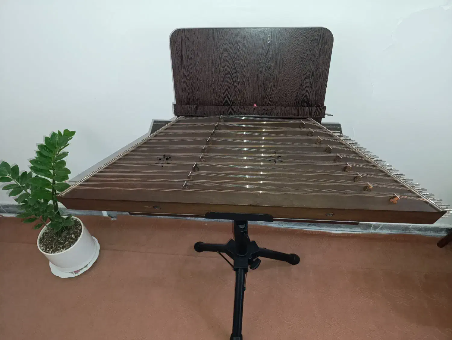 سنتور دو مهر|سازهای سنتی|سمنان, |دیوار