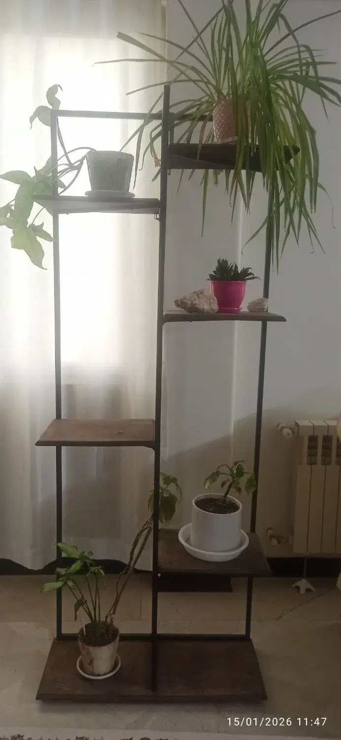 استند گل|گل و گیاه طبیعی|تهران, حکیمیه|دیوار