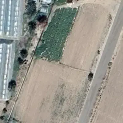 زمین اجاره ای باقر آباد|اجارهٔ دفتر صنعتی، کشاورزی، تجاری|جیرفت, |دیوار