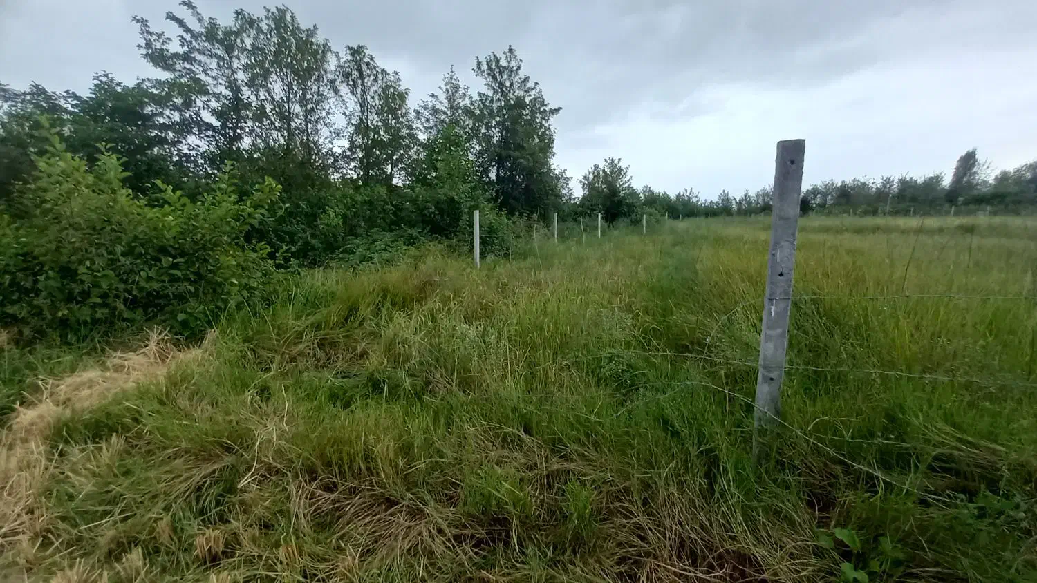 باغبان دائم با جای خواب سیاهکل|استخدام سرایداری و نظافت|لاهیجان, انقلاب|دیوار