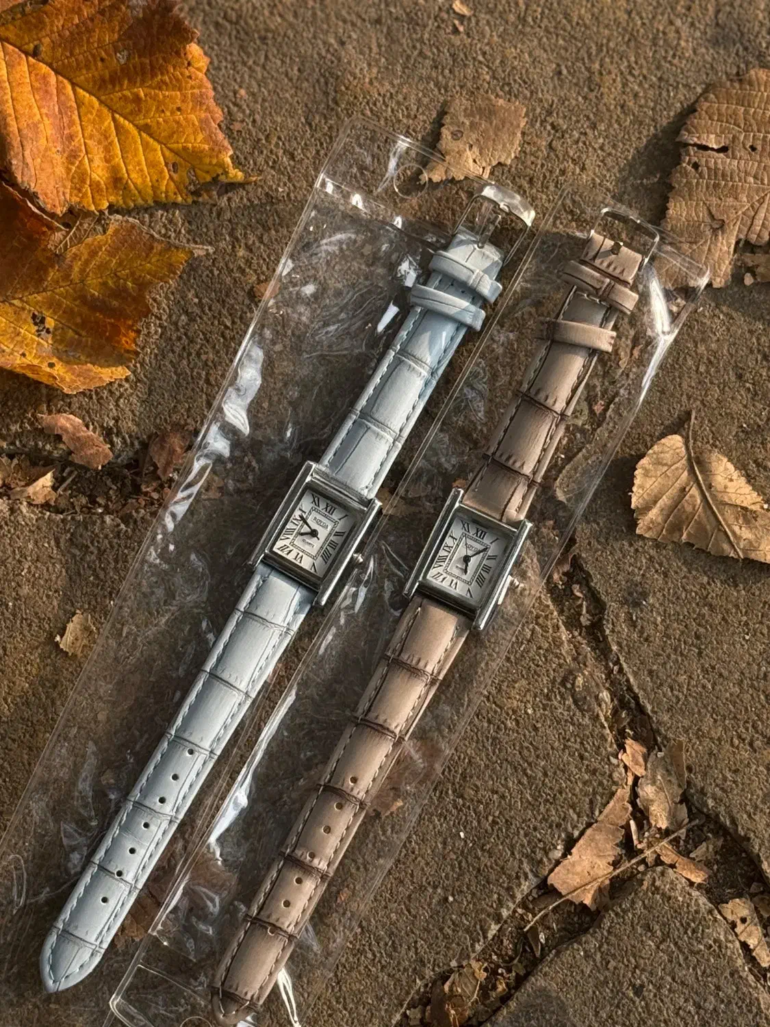 چرم رویدا|ساعت|رشت, توشیبا|دیوار