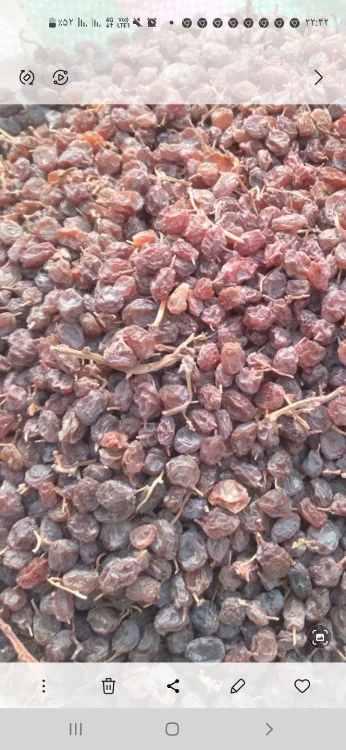 کشمش بیدانه درجه‌ یک|خوردنی و آشامیدنی|قزوین, |دیوار