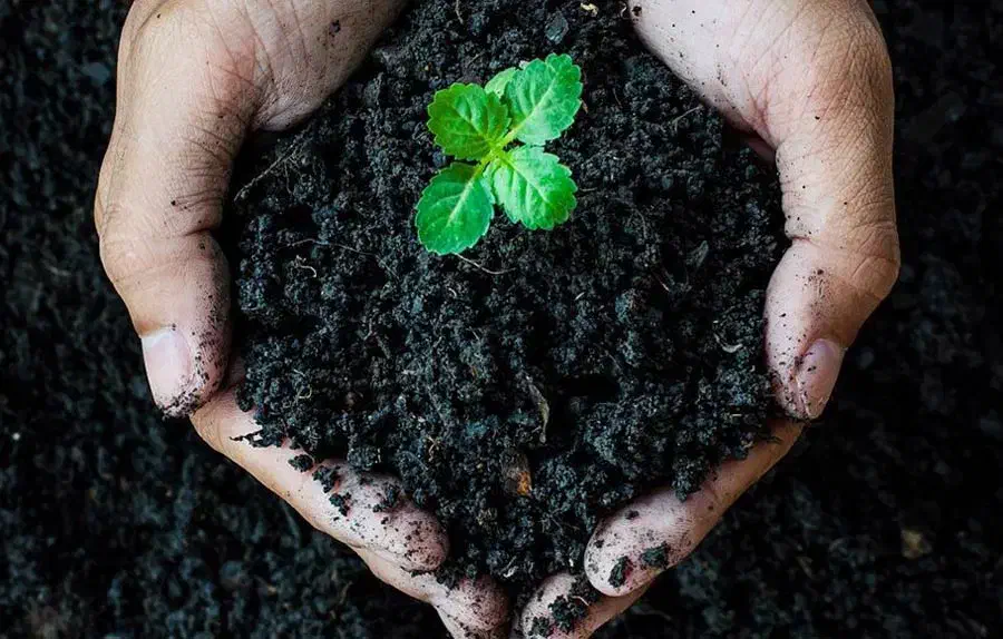 فروش عمده اسید هیومیک لئوناردیت مستقیم تولیدکننده|عمدهفروشی|رشت, آب آسیاب|دیوار