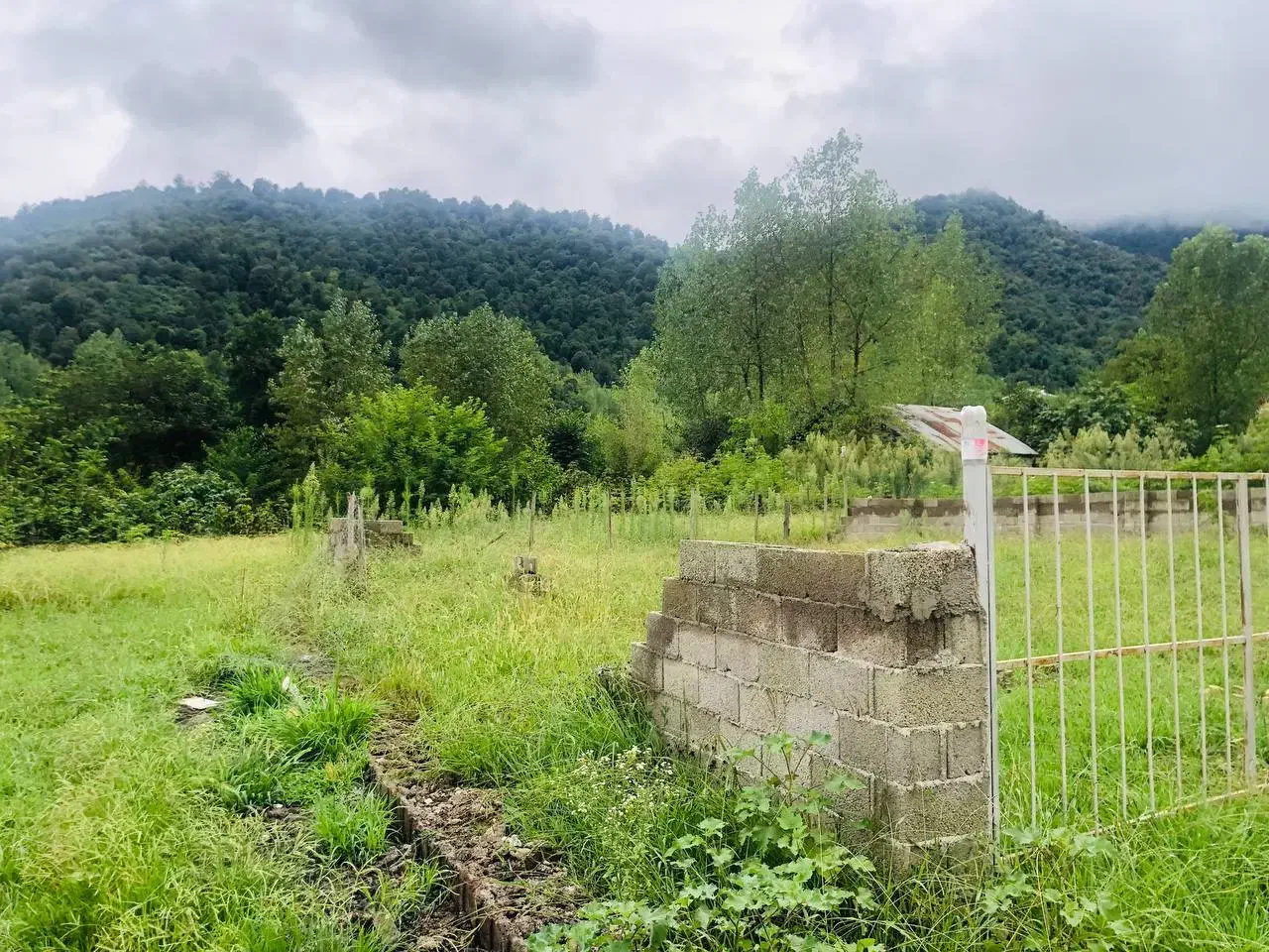 ۲۷۰متر زمین کوهستانی جنگلی با مجوزساخت در ماسوله|فروش زمین و ملک کلنگی|ماسوله, |دیوار