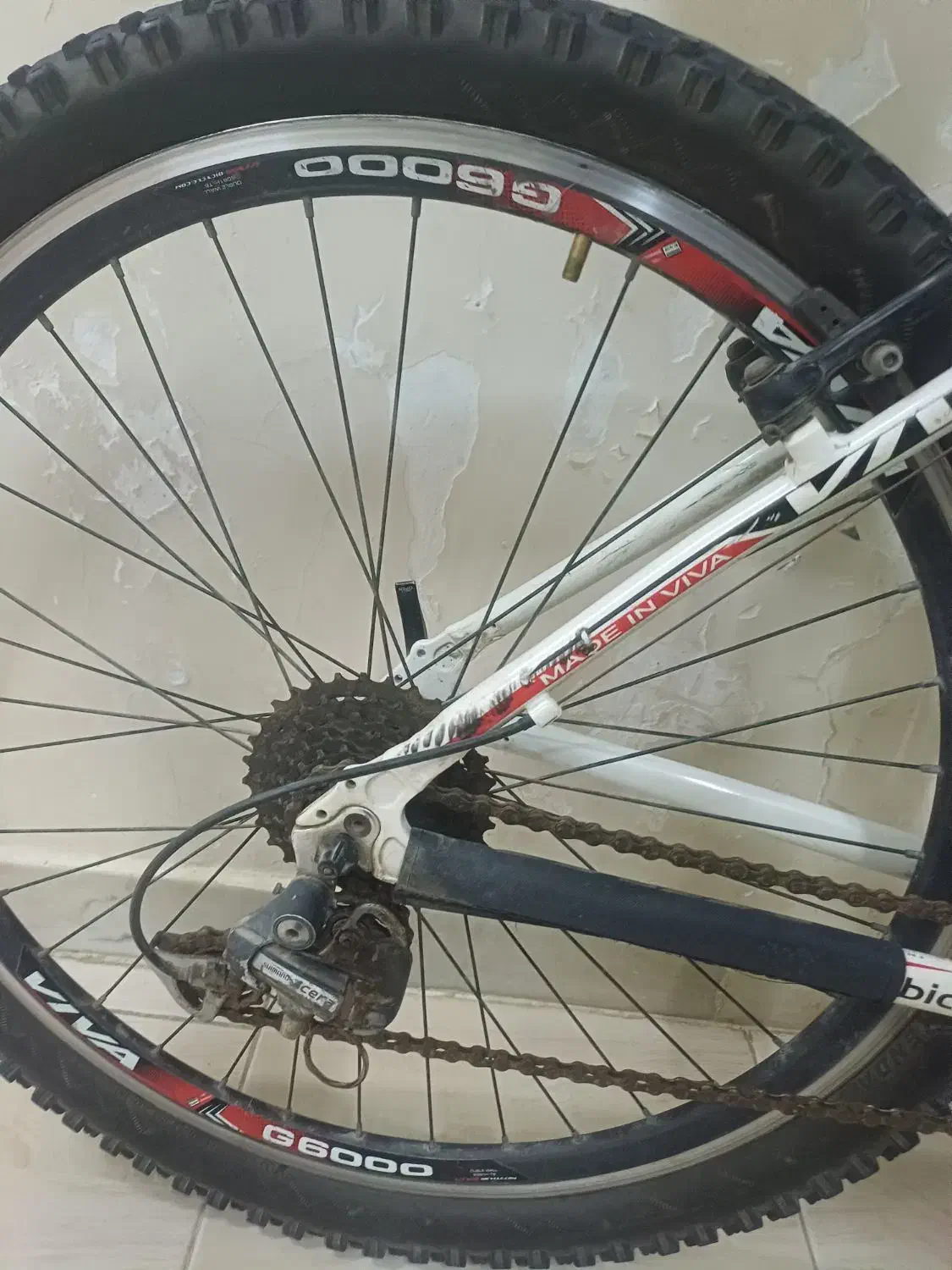 دوچرخه ویوا|دوچرخه، اسکیت، اسکوتر|بندرعباس, |دیوار