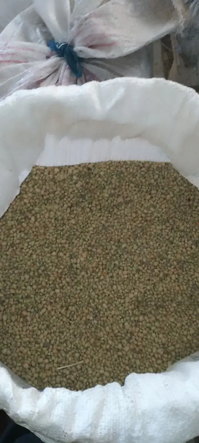 لوبیا اشی لوبیا|حراج|دره شهر, |دیوار