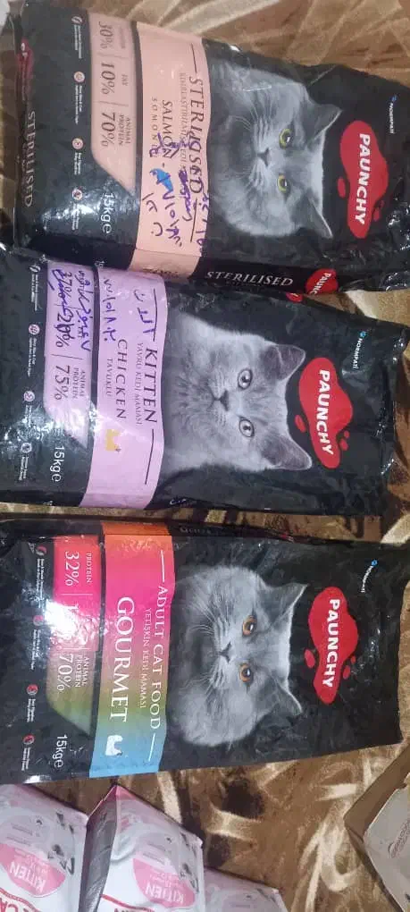 غذای گربه|لوازم جانبی حیوانات|مریوان, |دیوار