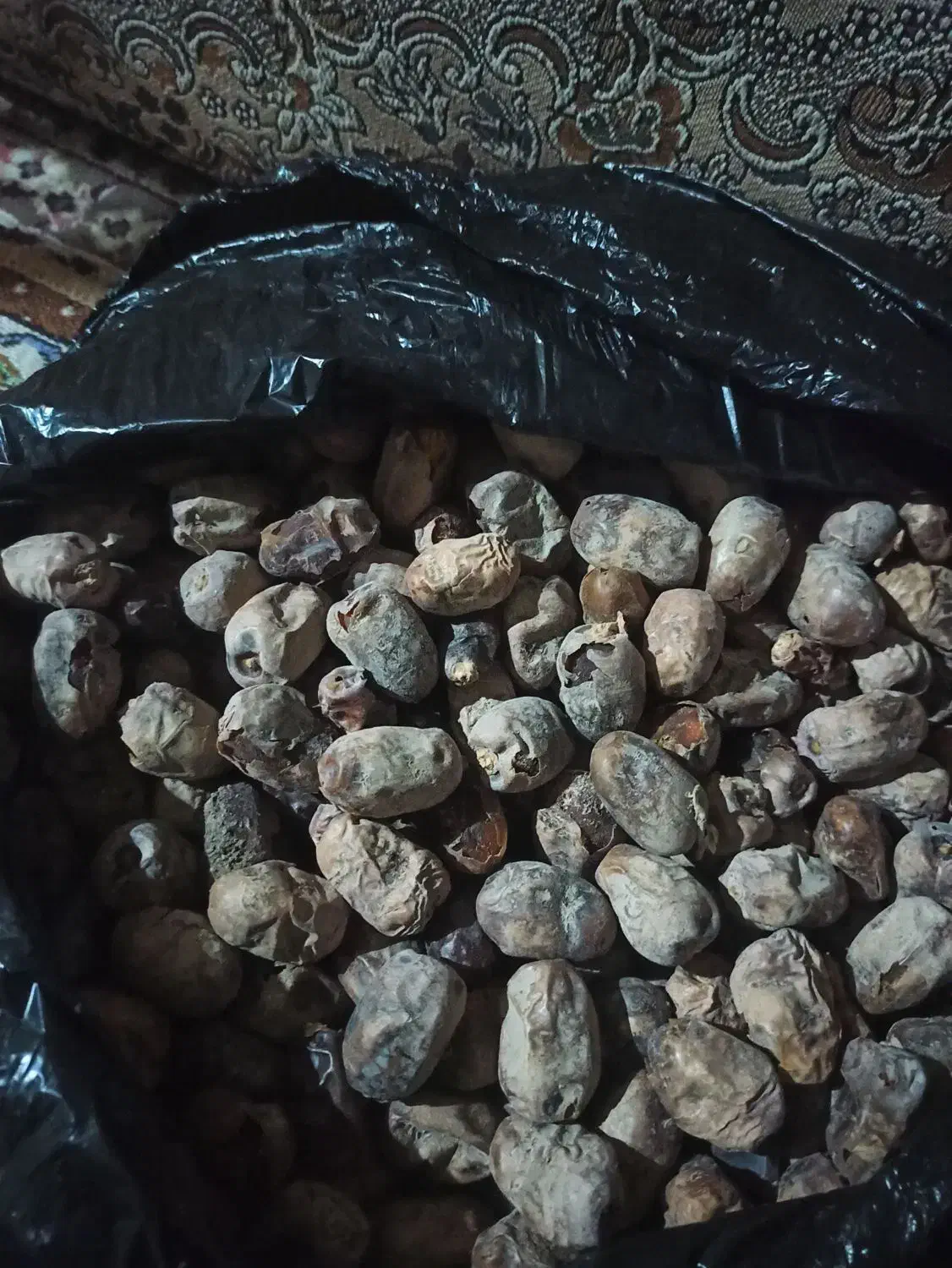 خرما ضایعات|خوردنی و آشامیدنی|پشتکوه (سیستان و بلوچستان), |دیوار