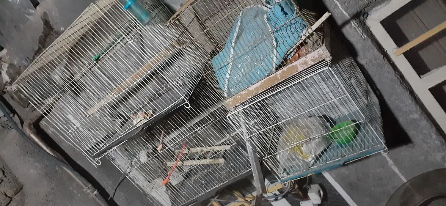 قفس پرنده|لوازم جانبی حیوانات|مشهد, شهید قربانی|دیوار