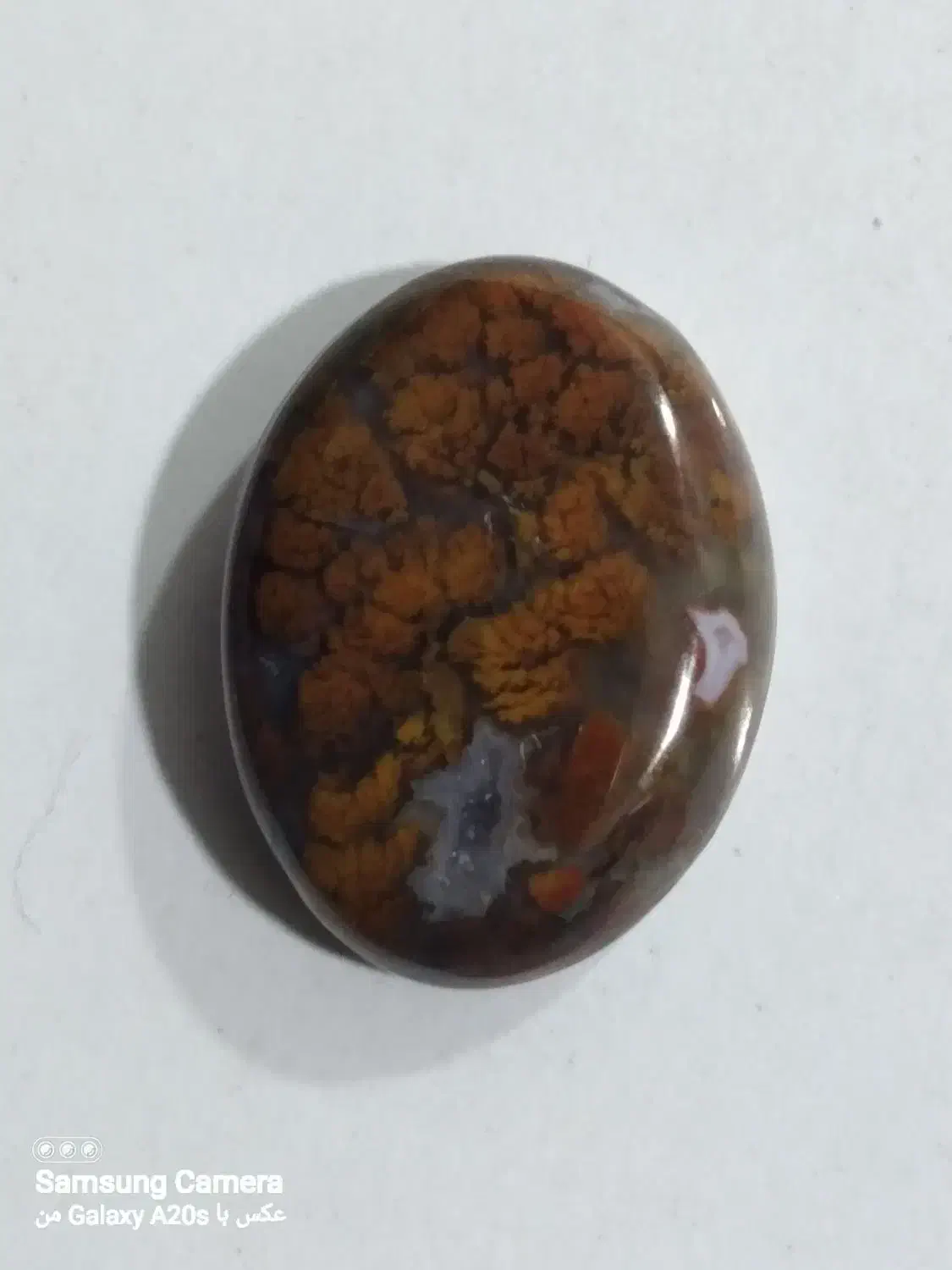 شجر پایزه|جواهرات|قائن, |دیوار