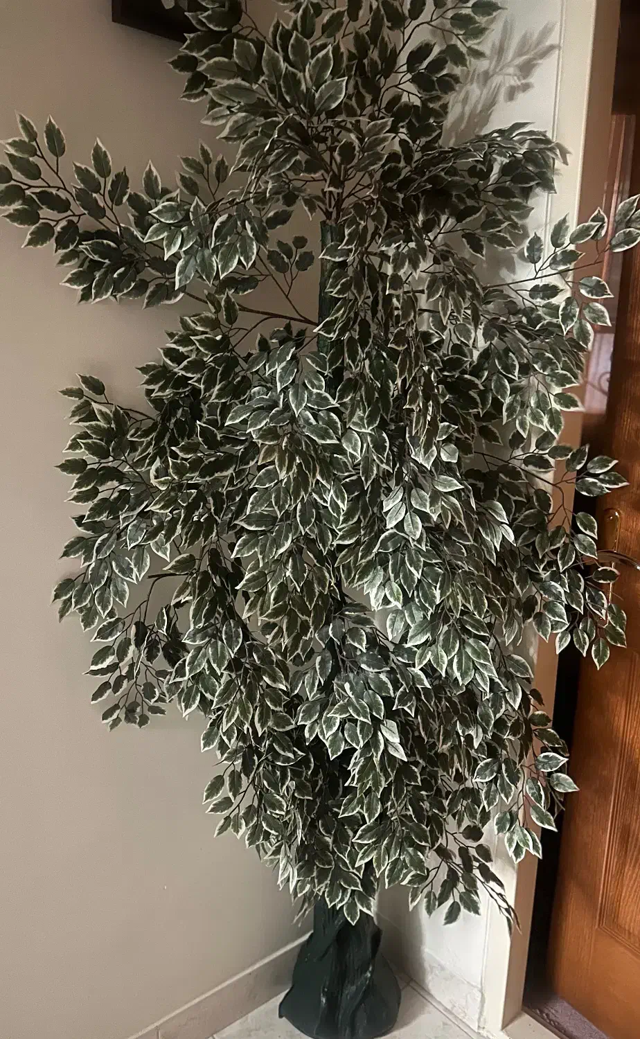 درختچه مصنوعی|گل مصنوعی|تبریز, |دیوار