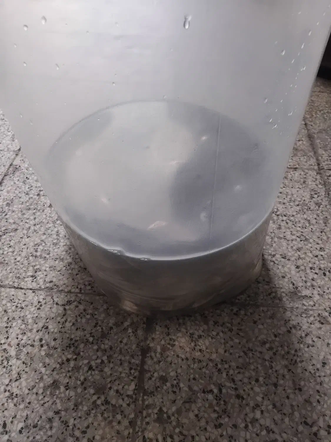 فروش|ماهی|نیشابور, مازول|دیوار