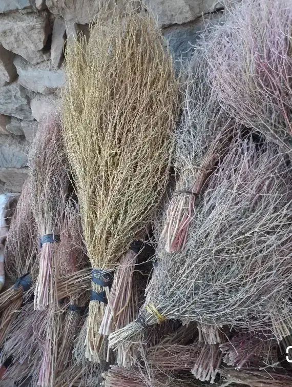 جارومحلیه امسال|لوازم نظافت|معصومیه, |دیوار