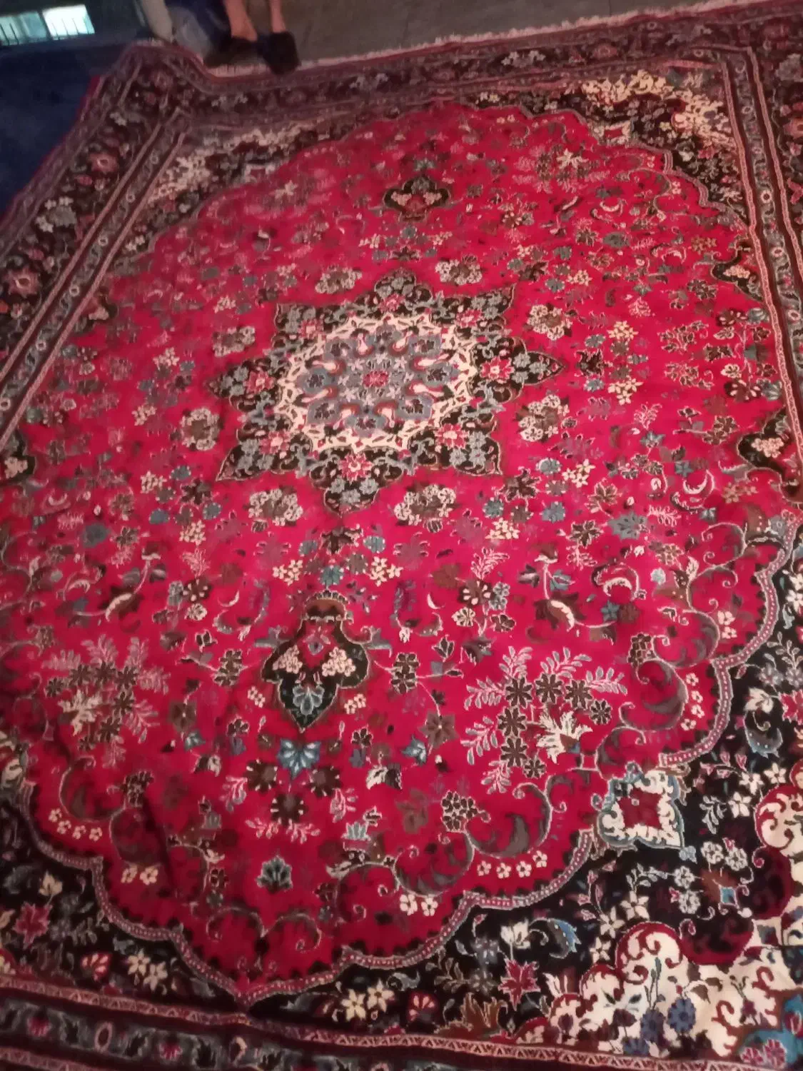 فرش ۱۲متری|فرش|اراک, |دیوار