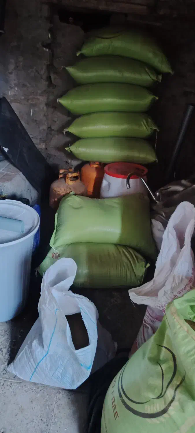 بزر یونجه|حراج|مریوان, |دیوار