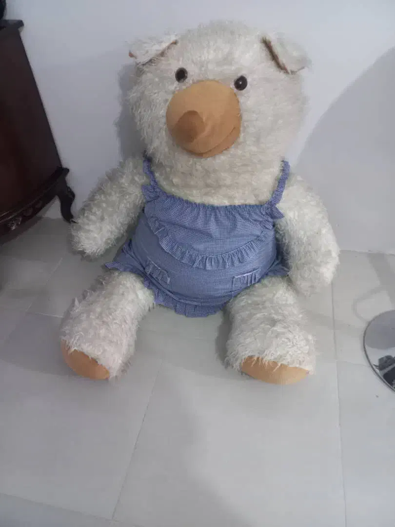 خرس|اسباب‌‌بازی|مشهد, باغون آباد|دیوار