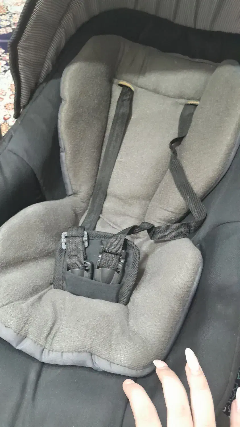 کریر کودک|کالسکه و لوازم جانبی|رشت, نخودچر|دیوار