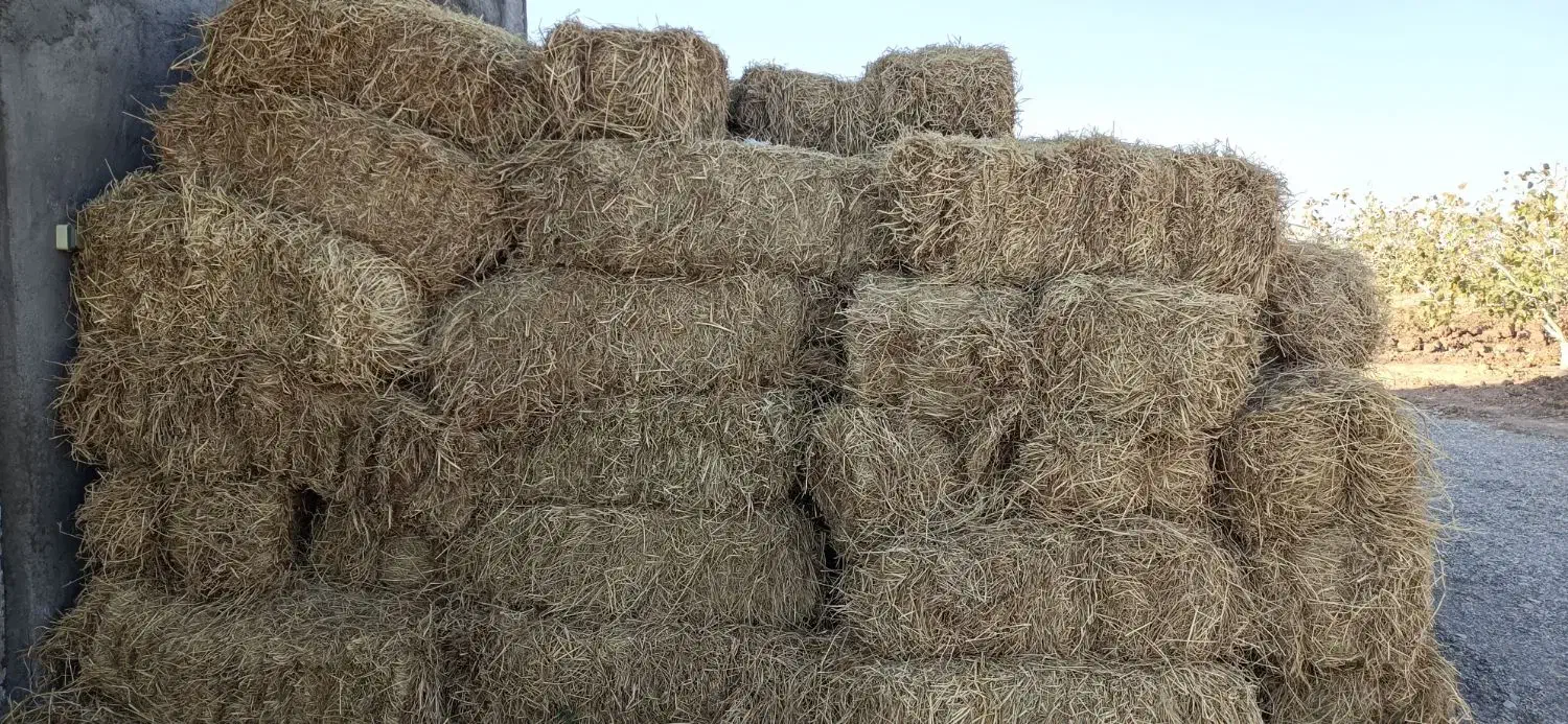 پرس کاه برنج|حیوانات مزرعه|مه ولات, |دیوار