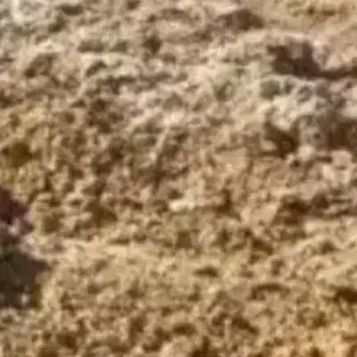 کود حیوانی|لوازم جانبی حیوانات|اسفراین, |دیوار