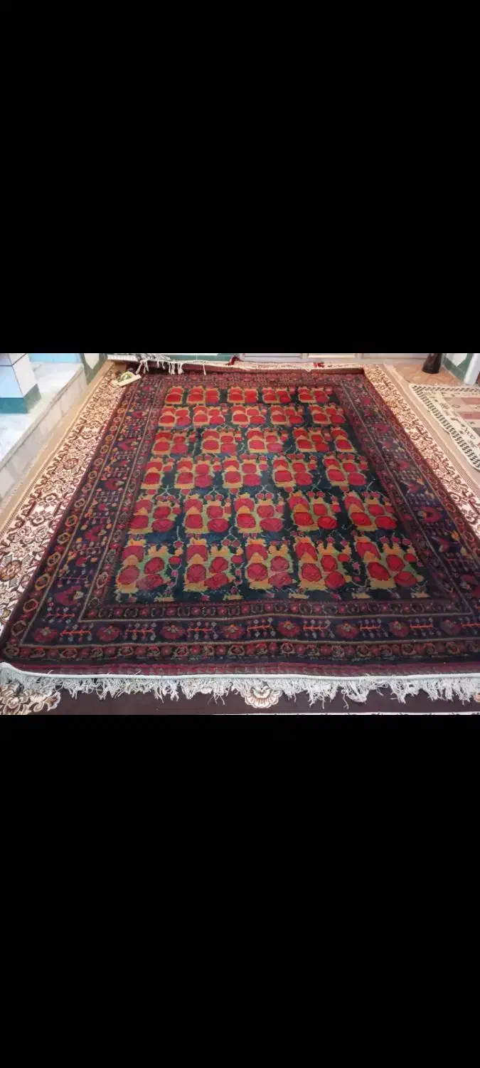 قالی دستباف ساردوییه 6 متری 2 عدد|فرش|جیرفت, |دیوار