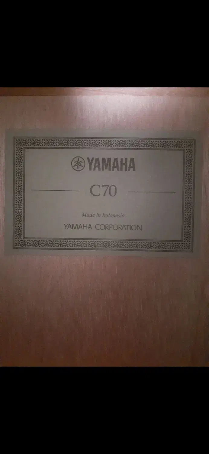 گیتار|گیتار، بیس، امپلیفایر|رشت, پیرکلاچای|دیوار