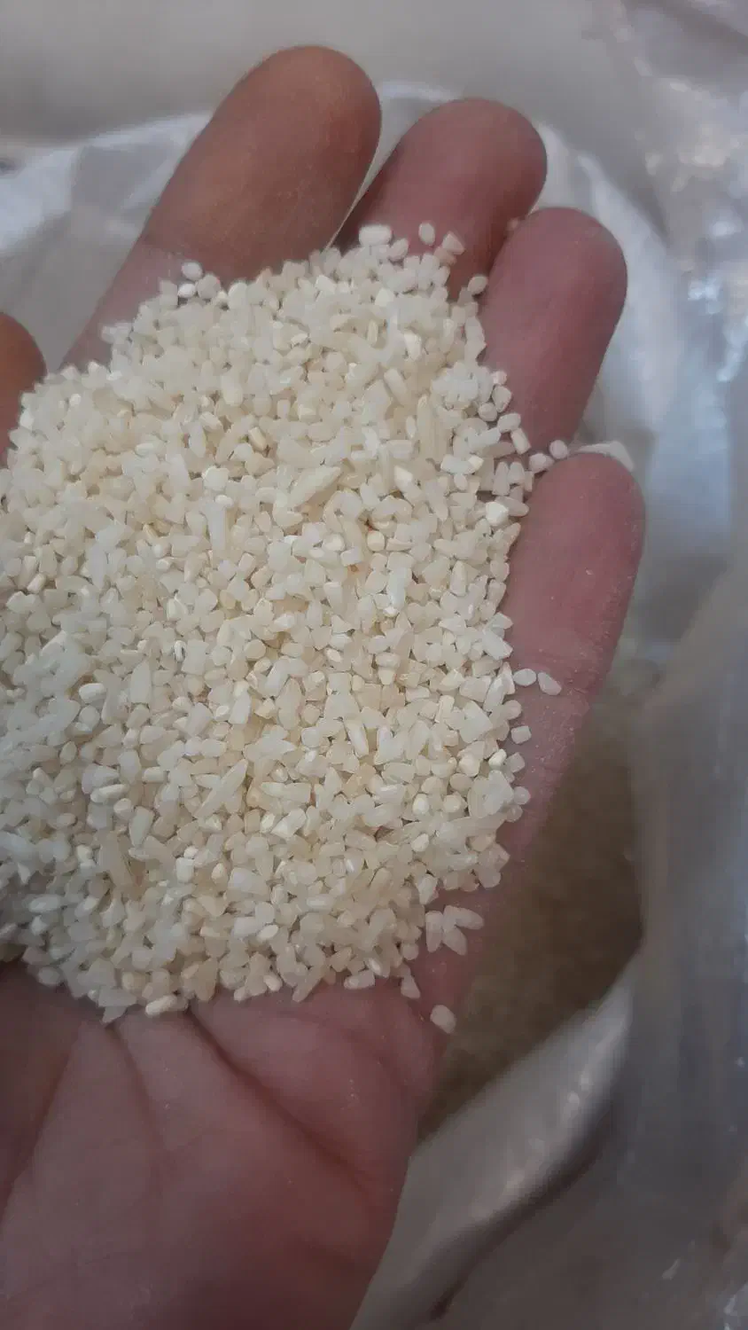 انواع برنج ایرانی و هندی|خوردنی و آشامیدنی|محمدشهر, ولدآباد|دیوار