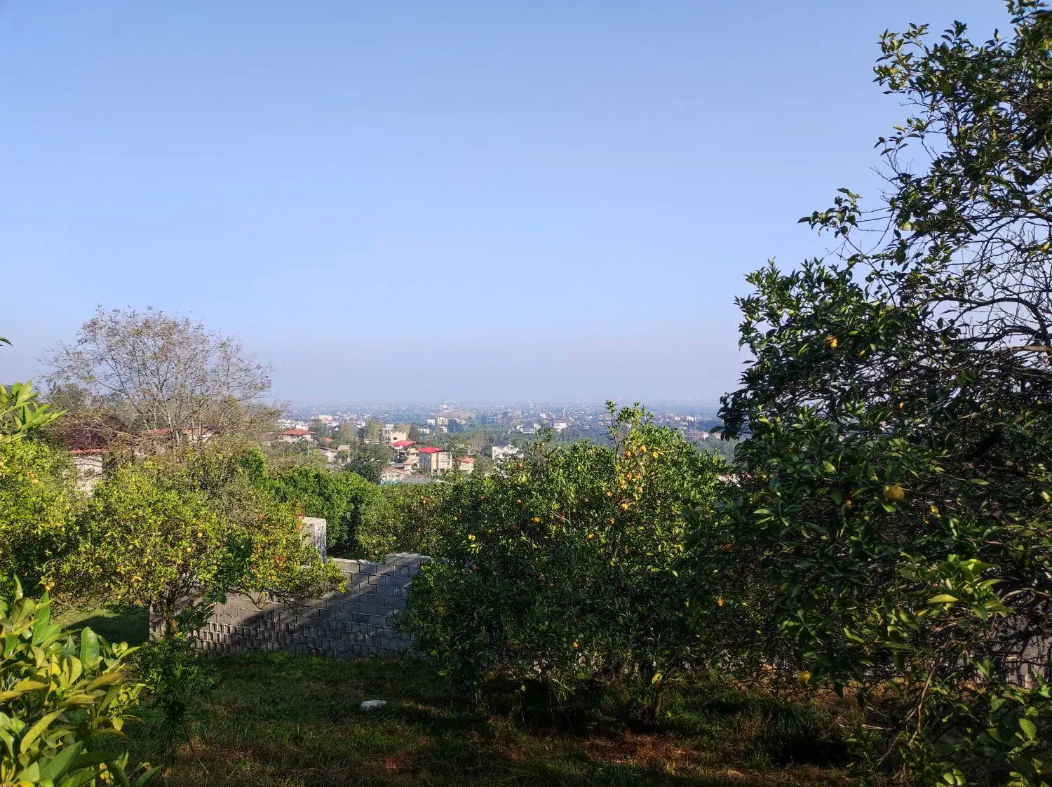 فروش زمین 300متری|فروش زمین و ملک کلنگی|نشتارود, |دیوار