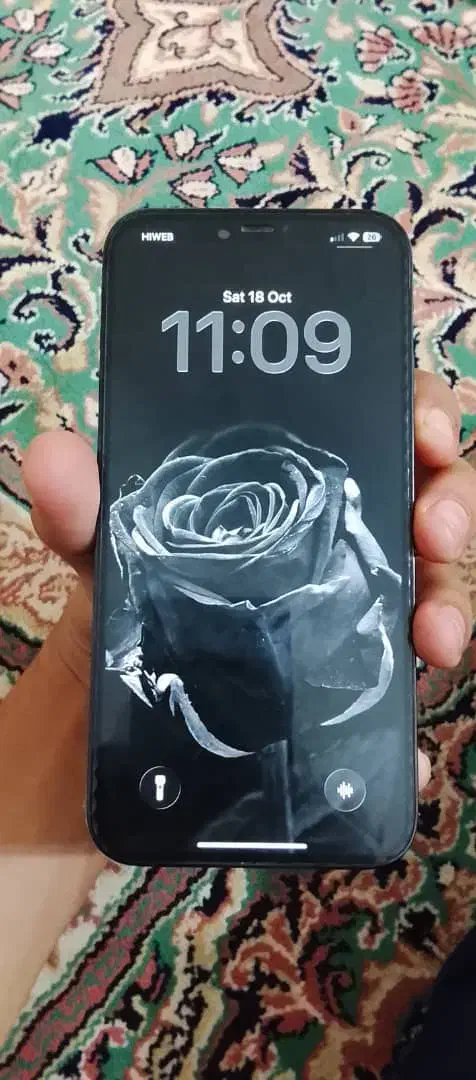 iPhone 12pro max|موبایل|زهک, |دیوار
