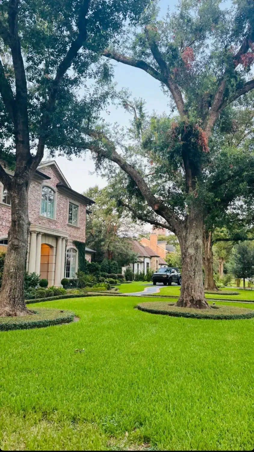 ۶۵۳متر مدرس /۲۰۰متر بنا /تهاتر وفروش|فروش زمین و ملک کلنگی|رودهن, |دیوار