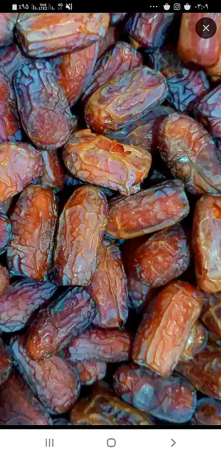 خرمای پیارم درجه ۱ گوشتی و بسیار با کیفیت|خوردنی و آشامیدنی|شیراز, باغ تخت|دیوار