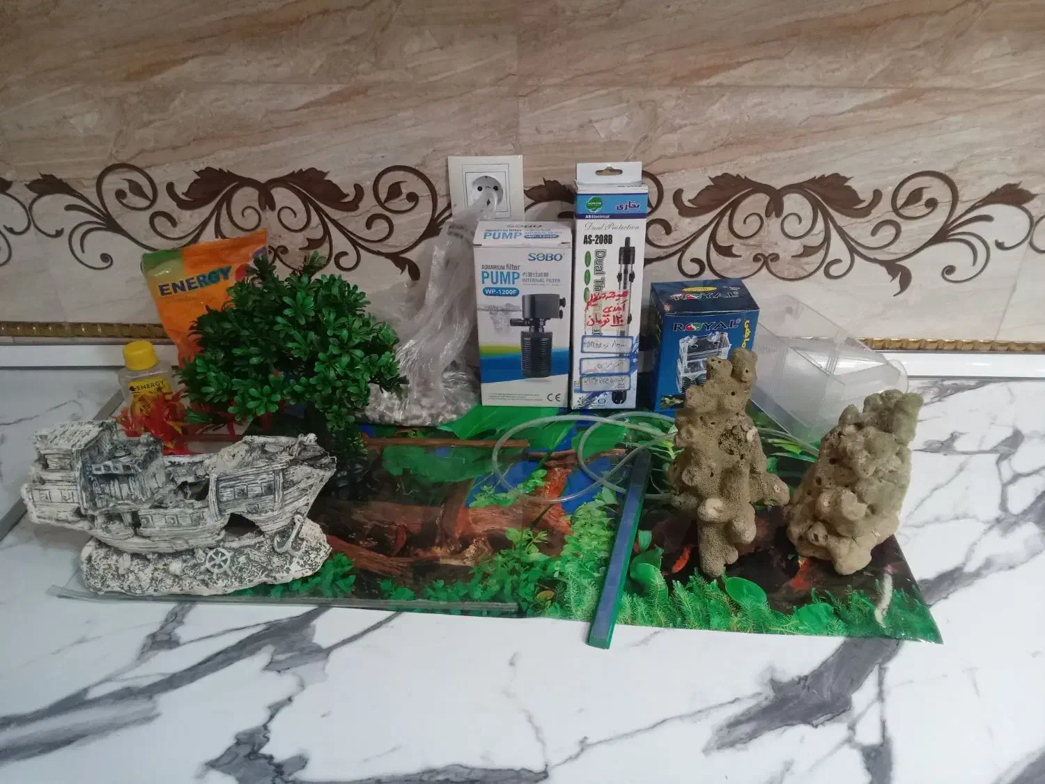 اکواریوم رایگان|ماهی|رباط‌کریم, نصیرشهر|دیوار