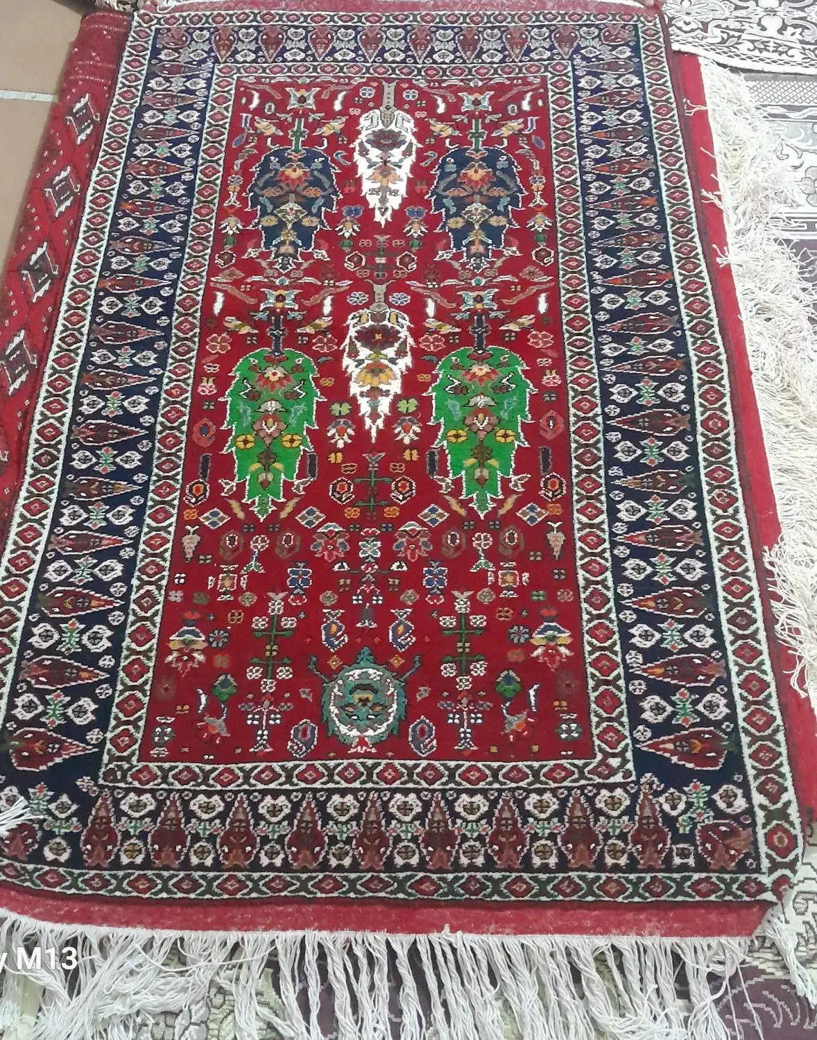 قالی|فرش|بجنورد, |دیوار