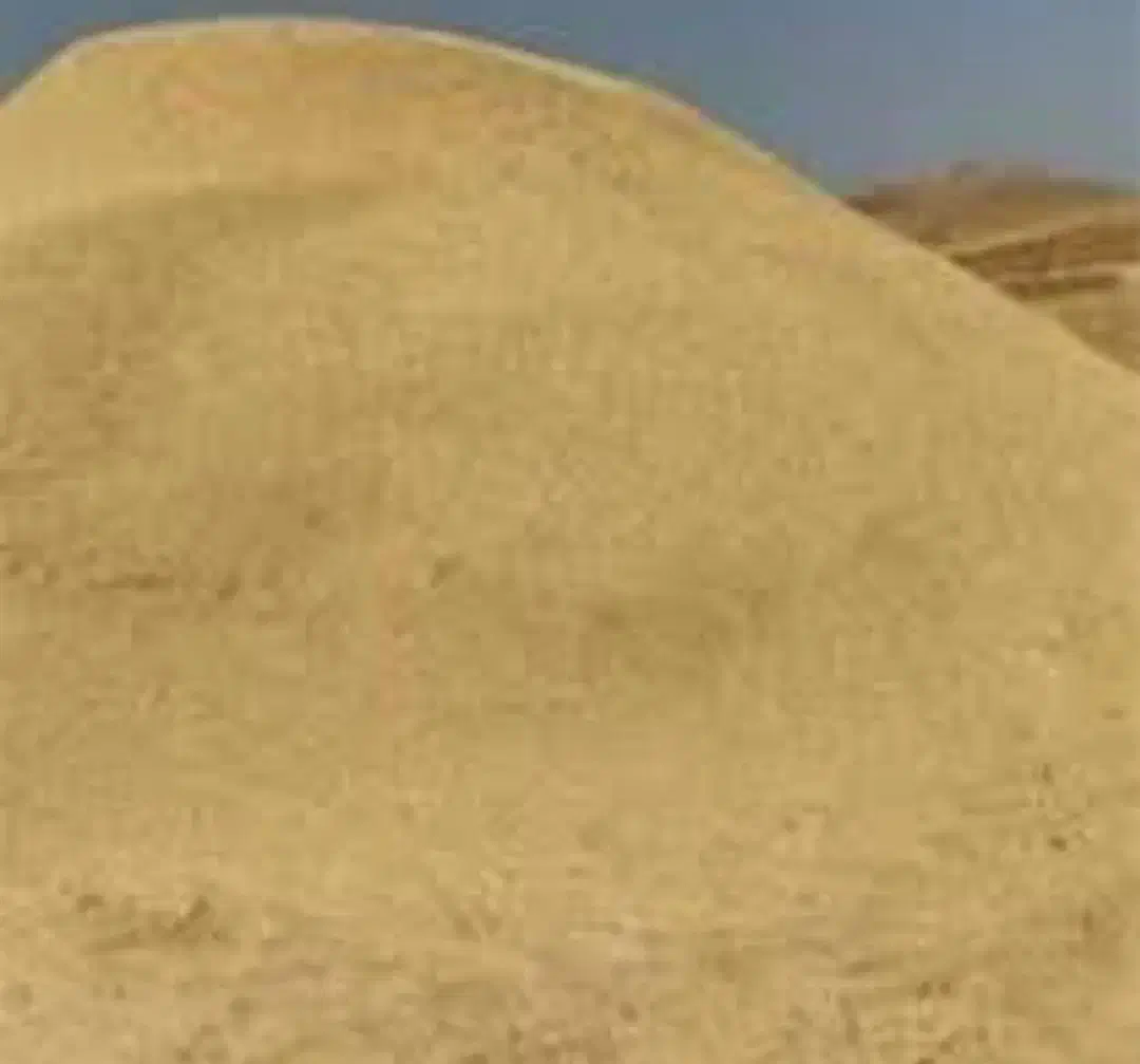 فروش کاه دیمی درجه یک|عمده‌فروشی|هشتگرد, تهران دشت|دیوار