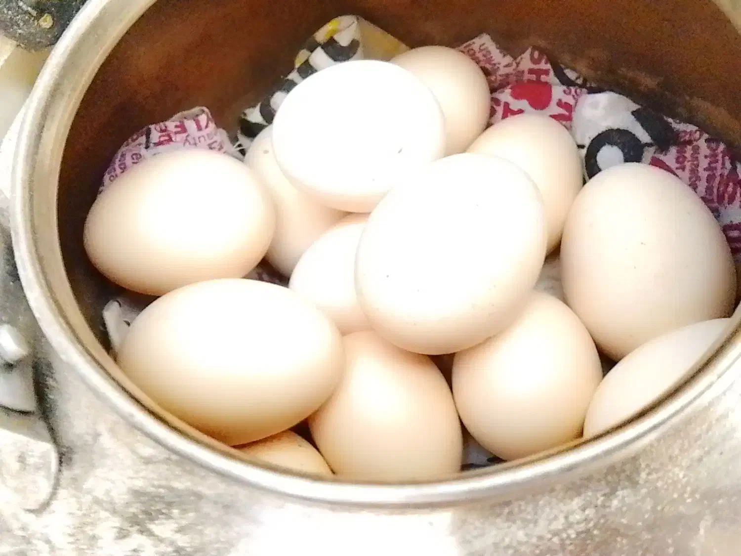 تخم مرغ محلی|خوردنی و آشامیدنی|مسجد سلیمان, |دیوار