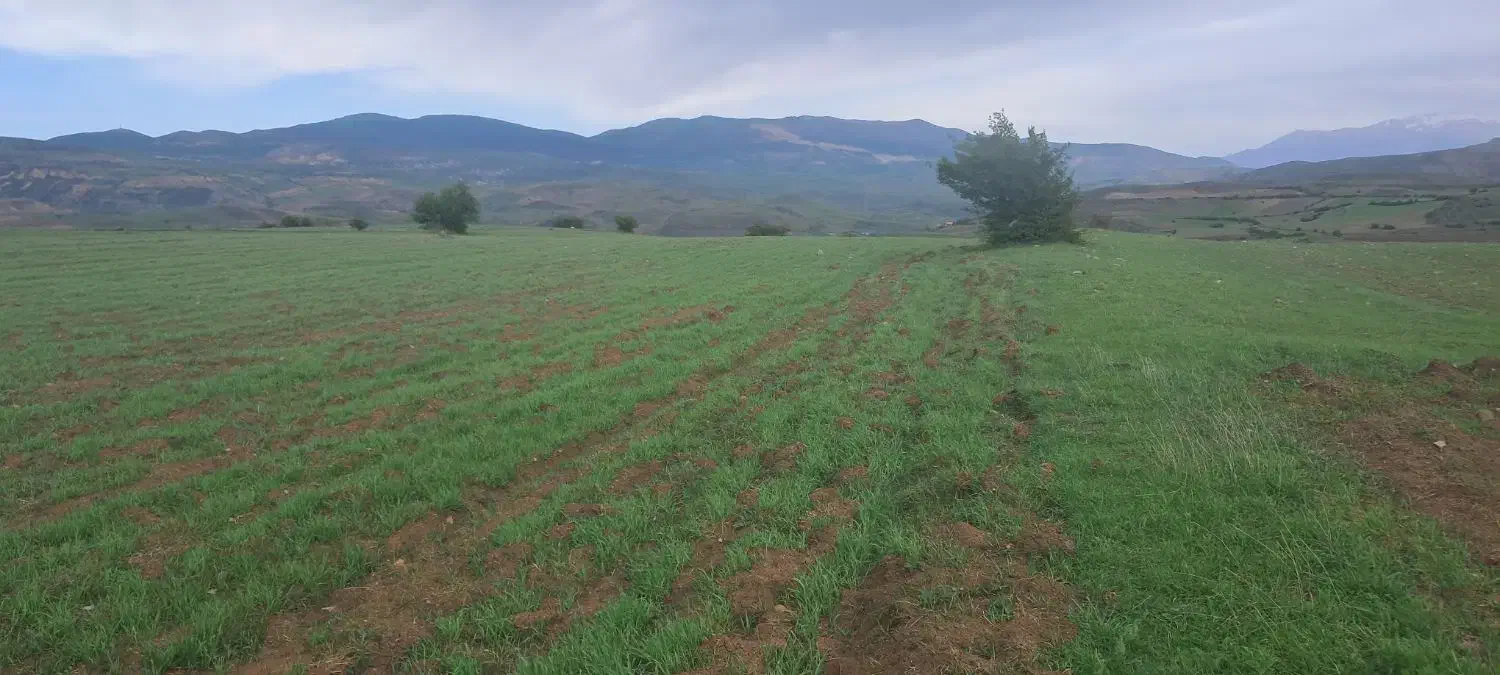 یک قطعه زمین زاراعی|فروش دفتر صنعتی، کشاورزی، تجاری|دیلمان, |دیوار