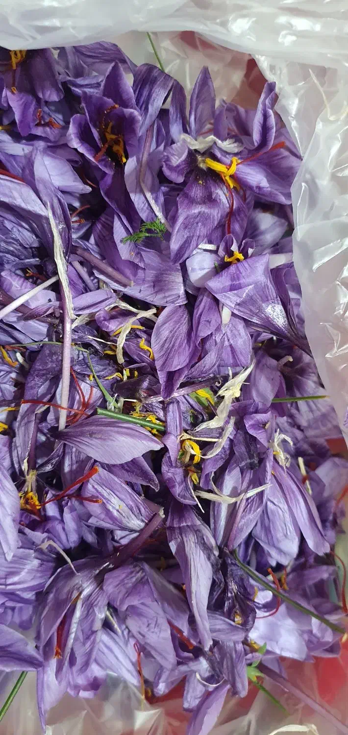 نیازمند کارگر|استخدام سرایداری و نظافت|چاپشلو, |دیوار