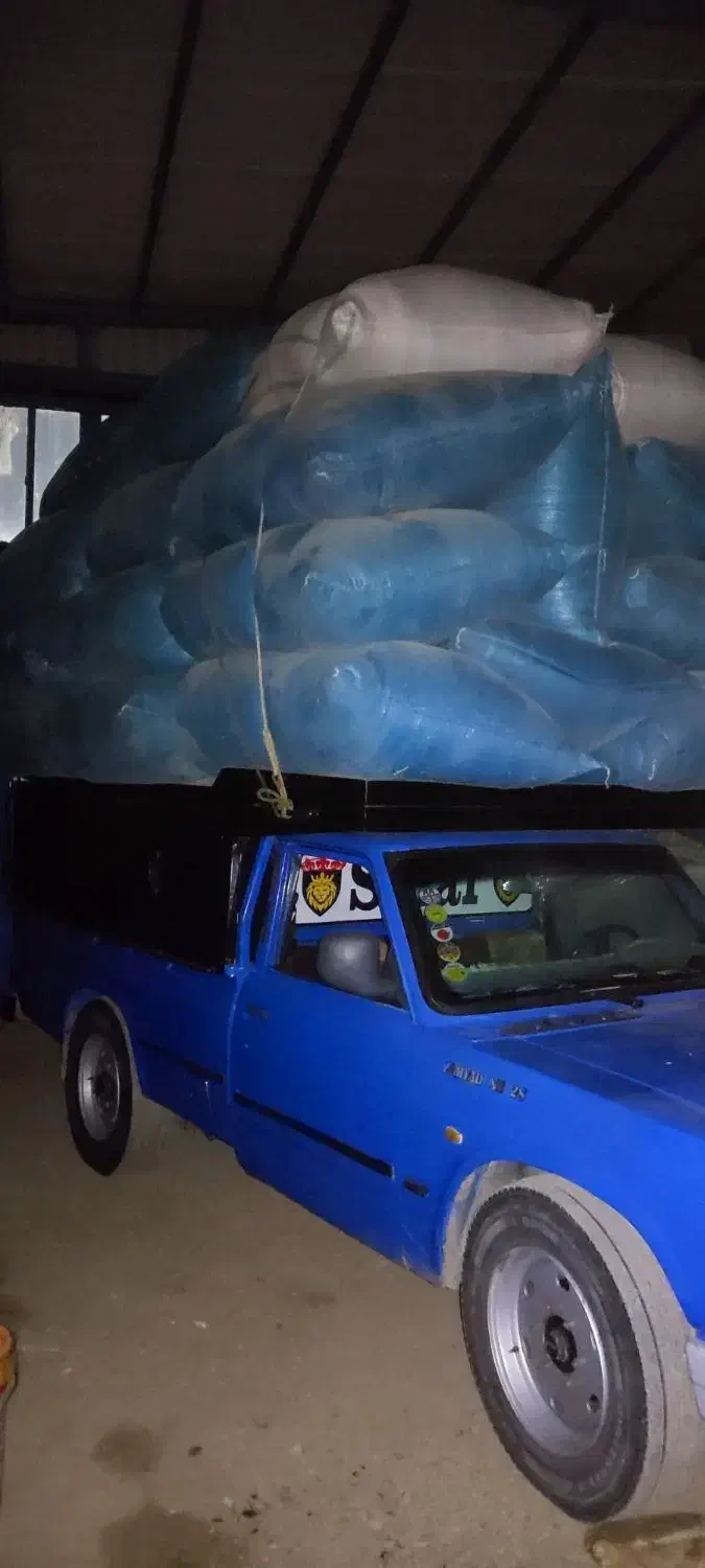 کاه گندم درجه یک|لوازم جانبی حیوانات|ورامین, خیر آباد|دیوار