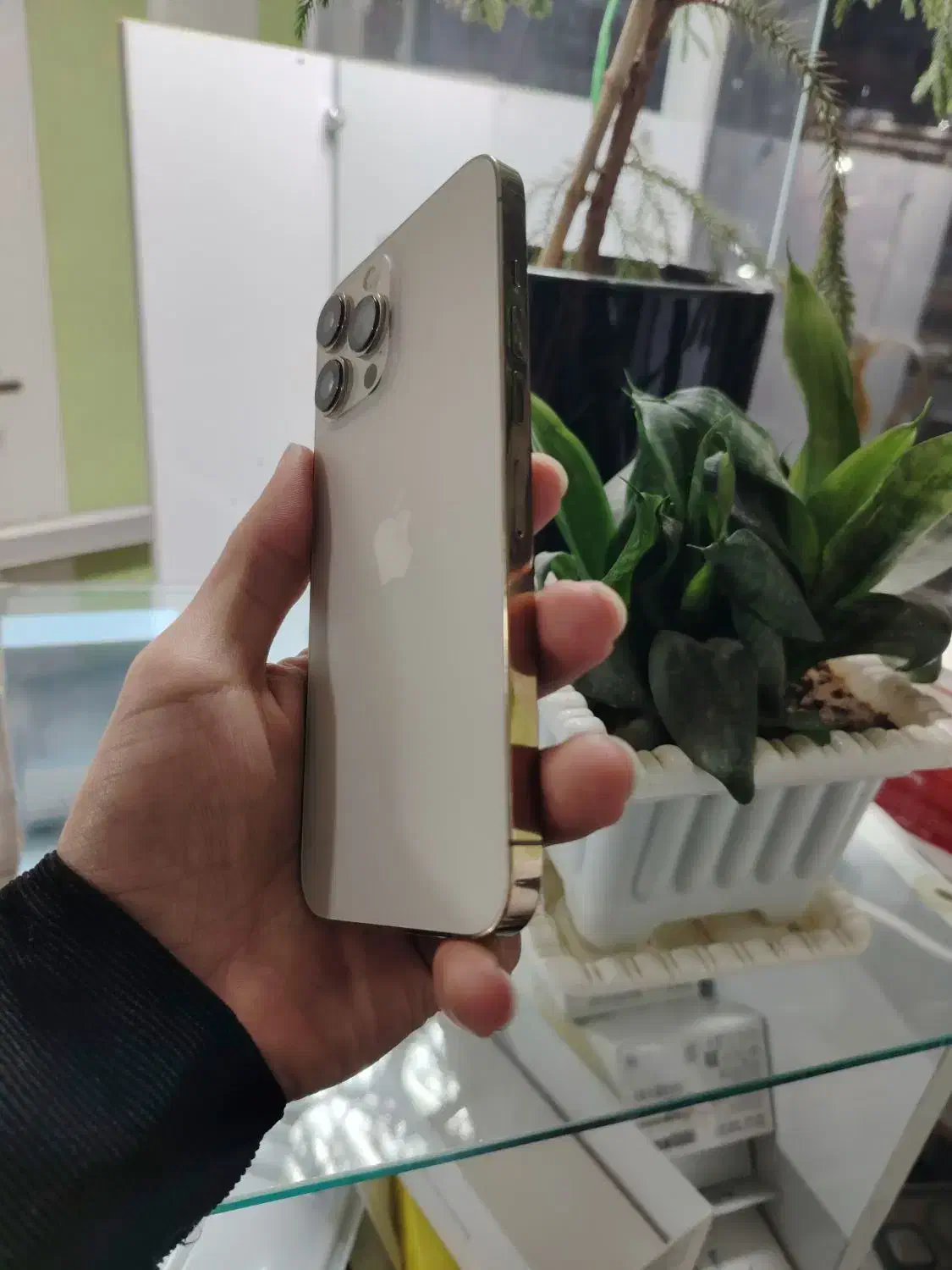 ایفون ۱۳مکس ۱سیم ۱۲۸گیگ|موبایل|ارومیه, |دیوار