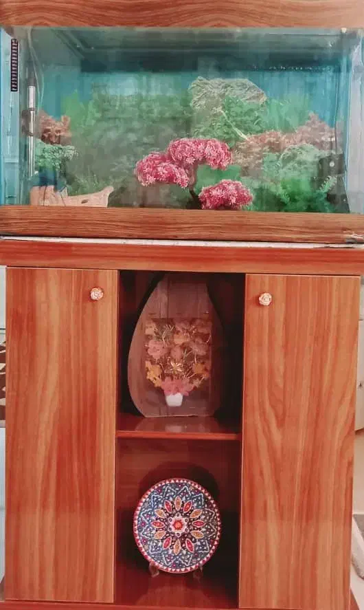 میز آکواریوم|ماهی|رفسنجان, |دیوار