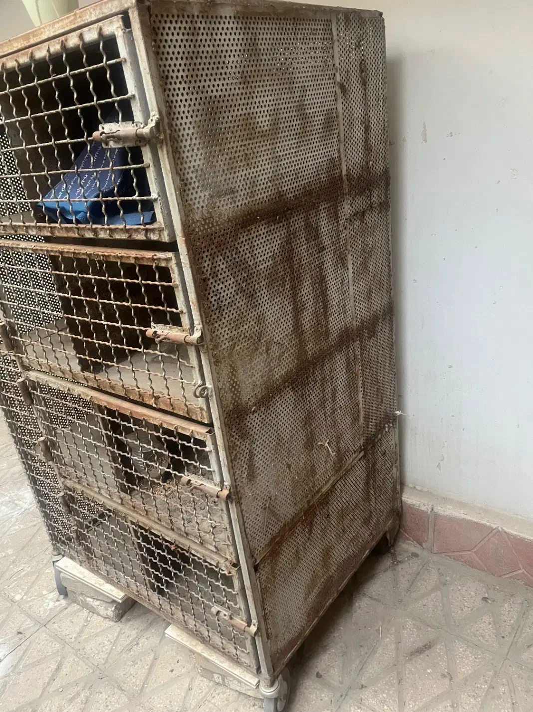 جفت کن آهنی درجه یک|لوازم جانبی حیوانات|تهران, فلسطین (میدان انقلاب)|دیوار