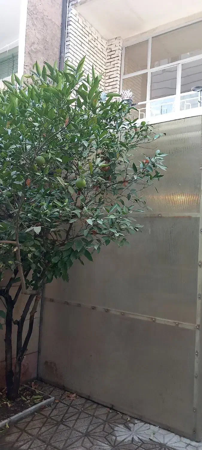 خانه  دربستی