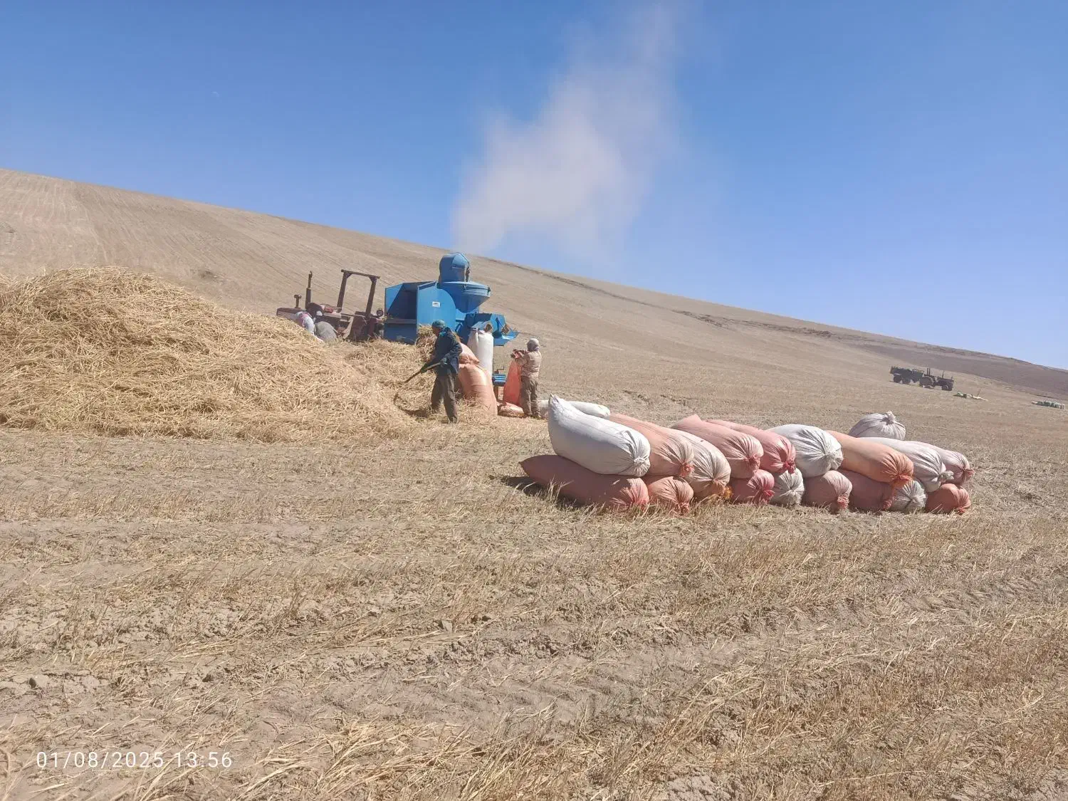 کاه|لوازم جانبی حیوانات|قوشخانه, |دیوار