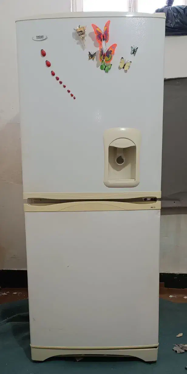 یخچال اسنوا|یخچال و فریزر|مرودشت, ژیان|دیوار