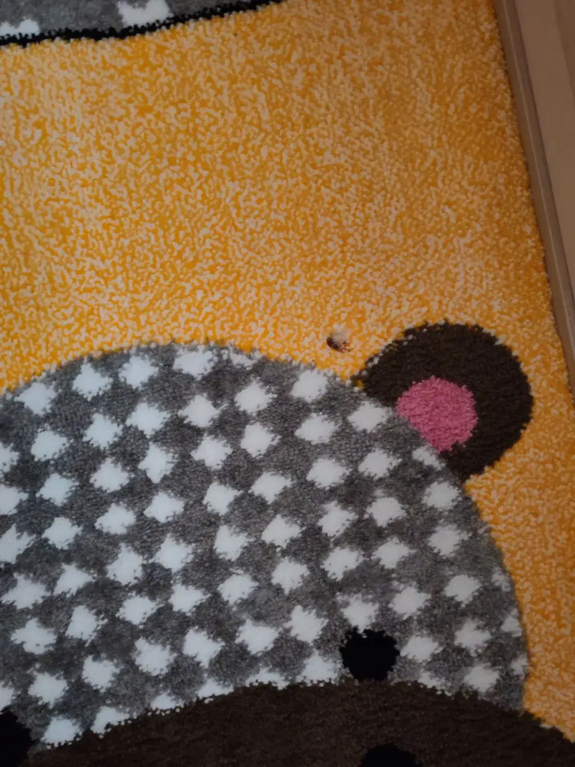 گلیم 4 متری اتاق کودک|فرش|اراک, |دیوار